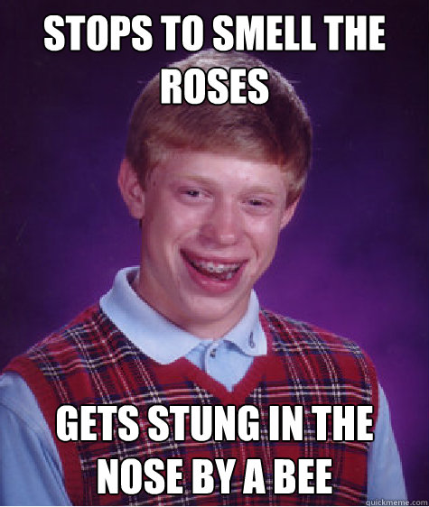 Stops to smell the roses Gets stung in the nose by a bee Caption 3 goes here - Stops to smell the roses Gets stung in the nose by a bee Caption 3 goes here  Bad Luck Brian