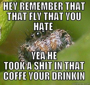 HEY REMEMBER THAT THAT FLY THAT YOU HATE  YEA HE TOOK A SHIT IN THAT COFFE YOUR DRINKIN Misunderstood Spider