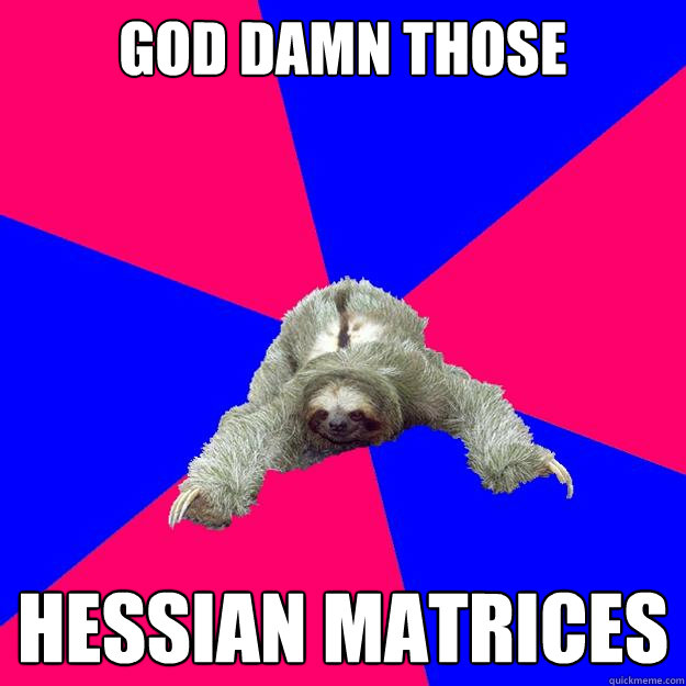 GOD DAMN THOSE HESSIAN MATRICES  Math Major Sloth