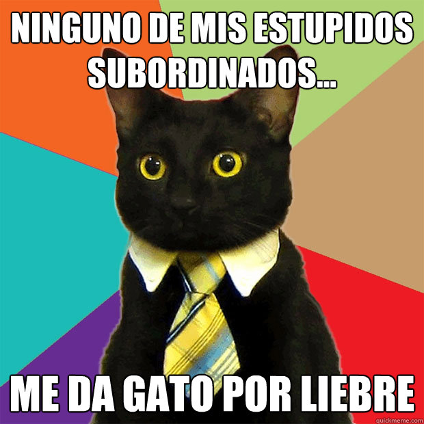 ninguno de mis estupidos subordinados... me da gato por liebre  Business Cat