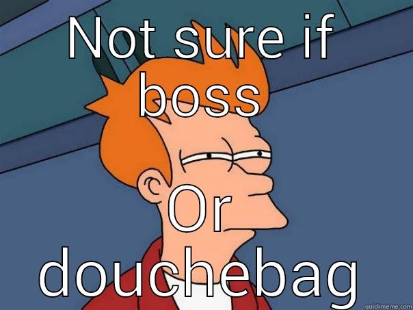 NOT SURE IF BOSS OR DOUCHEBAG Futurama Fry