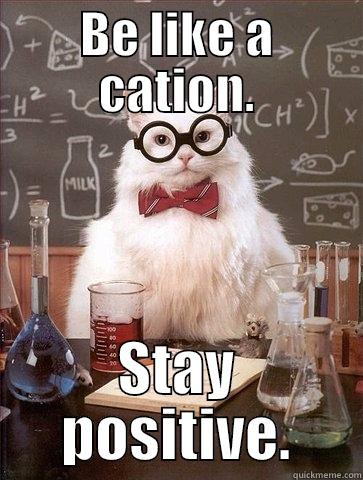 BE LIKE A CATION. STAY POSITIVE. Chemistry Cat