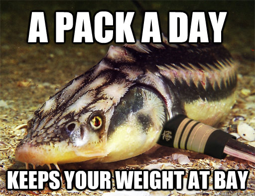 A pack a day Keeps your weight at bay - A pack a day Keeps your weight at bay  Sturgeon General
