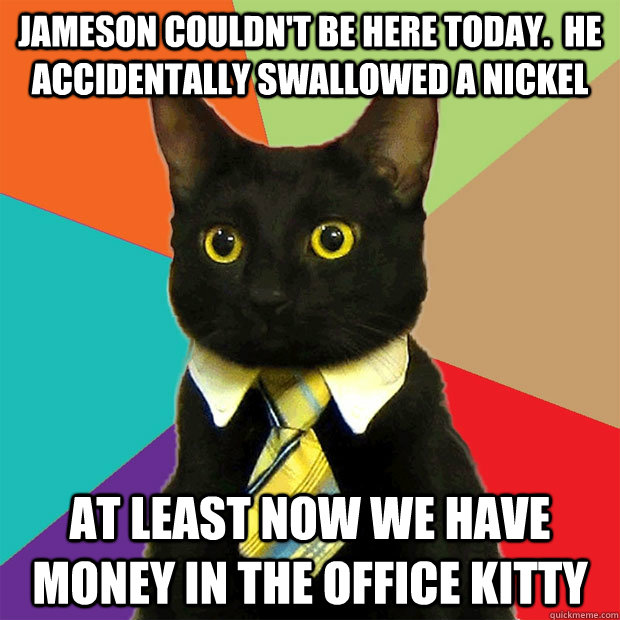 Jameson couldn't be here today.  He accidentally swallowed a nickel at least now we have money in the office kitty  Business Cat