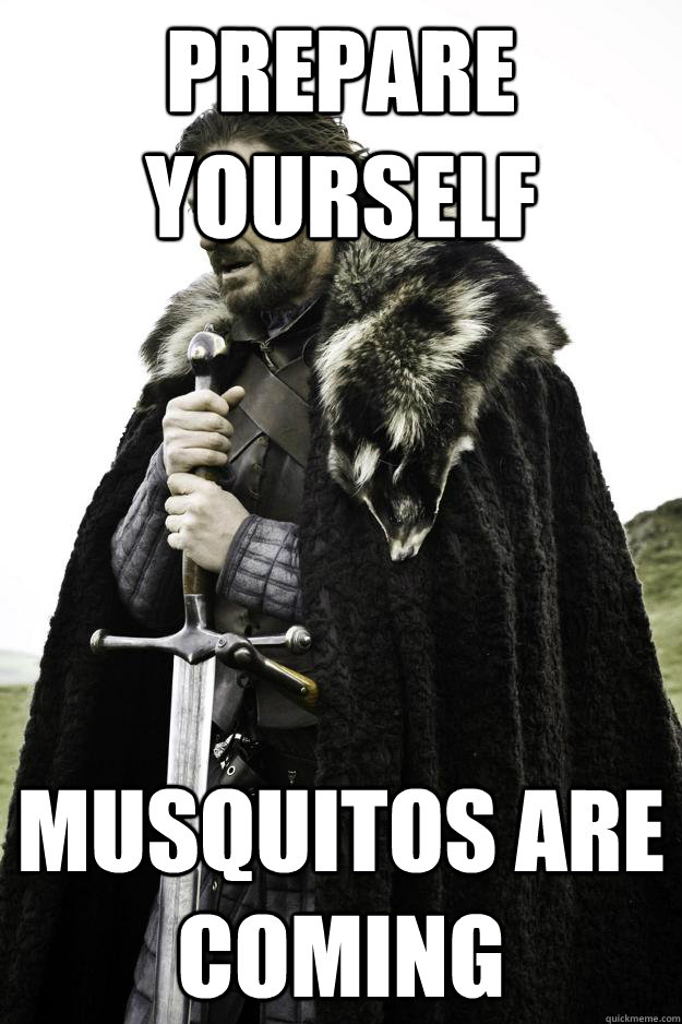 Prepare yourself musquitos are coming  They are coming