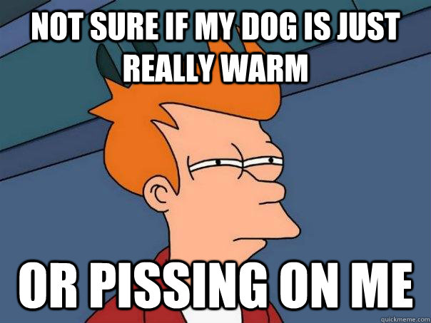 Not sure if my dog is just really warm or pissing on me - Not sure if my dog is just really warm or pissing on me  Futurama Fry