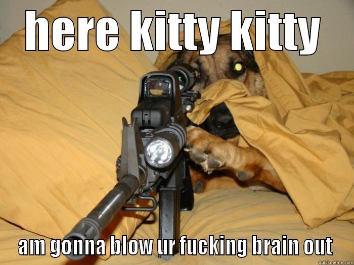 here kitty kitty  - HERE KITTY KITTY AM GONNA BLOW UR FUCKING BRAIN OUT Misc