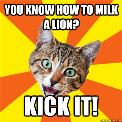 you know how to milk a lion? Kick it!  Bad Advice Cat