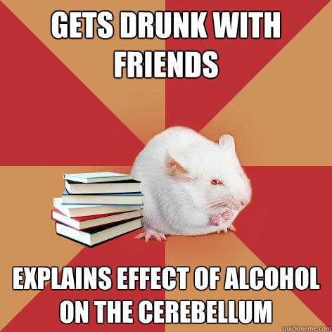 Gets drunk with friends explains effect of alcohol on the cerebellum - Gets drunk with friends explains effect of alcohol on the cerebellum  Science Major Mouse