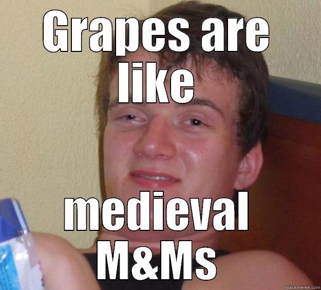 GRAPES ARE LIKE MEDIEVAL M&MS 10 Guy