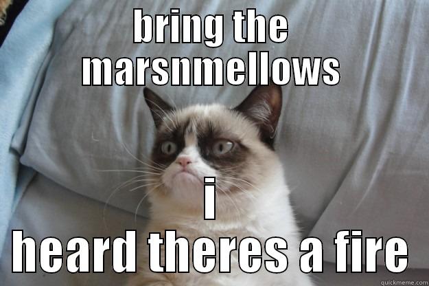 BRING THE MARSNMELLOWS I HEARD THERES A FIRE Grumpy Cat