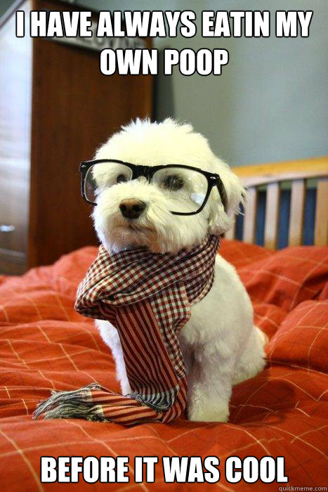 I HAVE ALWAYS EATIN MY OWN POOP BEFORE IT WAS COOL  Hipster Dog