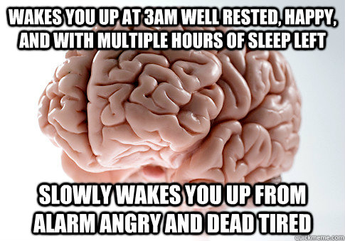 Wakes you up at 3am well rested, happy, and with multiple hours of sleep left slowly wakes you up from alarm angry and dead tired  Scumbag Brain