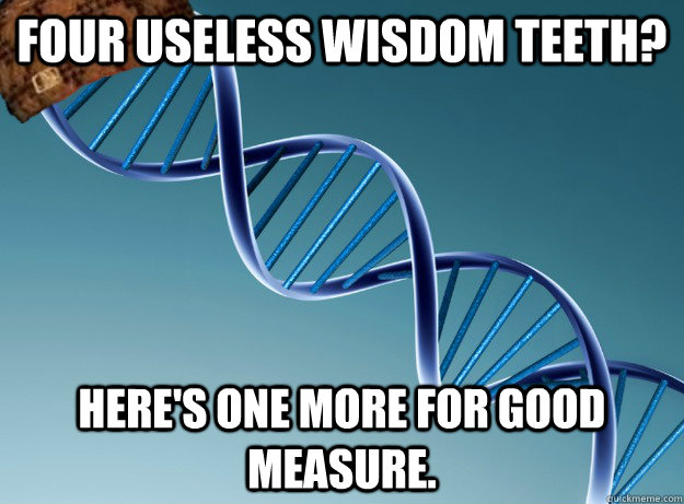 Four Useless wisdom Teeth? Here's one more for good measure.  Scumbag Genetics