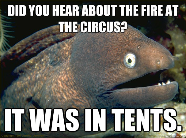 Did you hear about the fire at the circus?
 It was in tents.  Bad Joke Eel