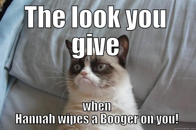 OH NO A BOOGER - THE LOOK YOU GIVE WHEN HANNAH WIPES A BOOGER ON YOU! Grumpy Cat