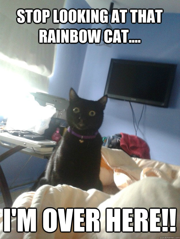 Stop looking at that rainbow cat.... I'm over here!! - Stop looking at that rainbow cat.... I'm over here!!  overly attached cat