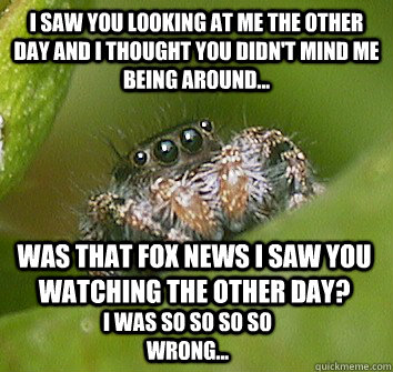 I saw you looking at me the other day and i thought you didn't mind me being around... Was that Fox News i saw you watching the other day? I was so so so so wrong...  Misunderstood Spider