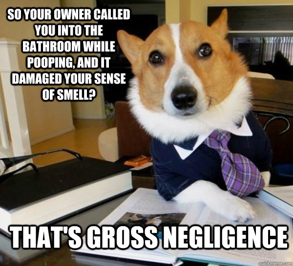 So your owner called you into the bathroom while pooping, and it damaged your sense of smell? That's gross negligence  Lawyer Dog