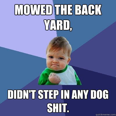 Mowed the back yard,  Didn't step in any dog shit.  Success Kid