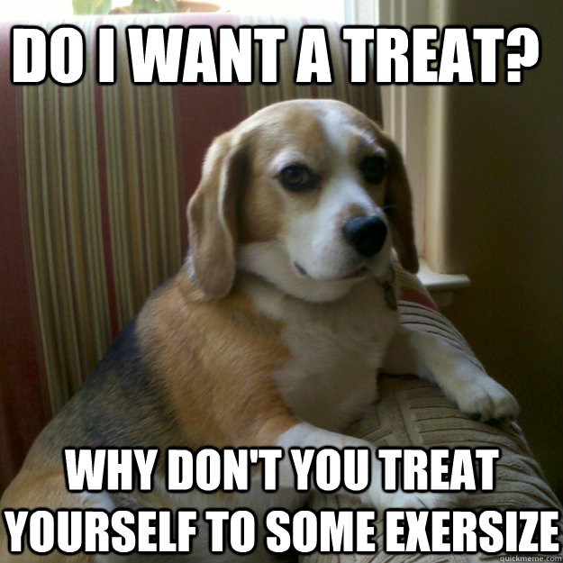 Do i want a treat? why don't you treat yourself to some exersize - Do i want a treat? why don't you treat yourself to some exersize  judgmental dog