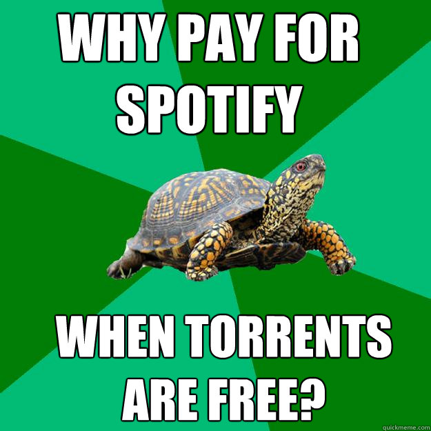 Why Pay For
Spotify When Torrents
Are Free?  Torrenting Turtle