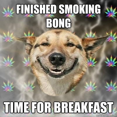 Finished Smoking bong time for breakfast  Stoner Dog