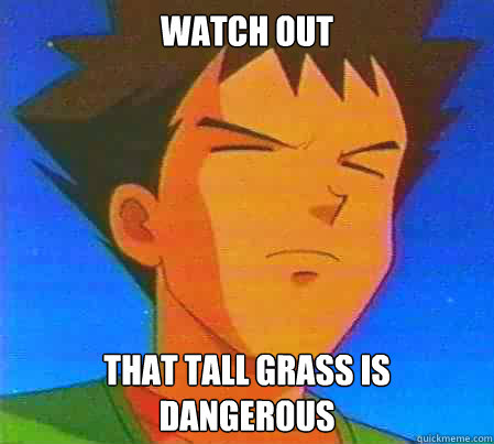 Watch out That tall grass is dangerous  - Watch out That tall grass is dangerous   Misc