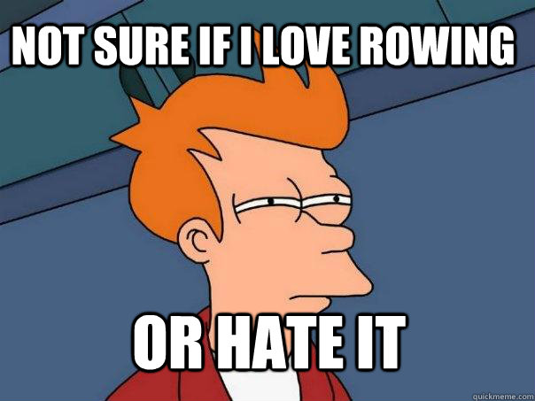 Not sure if I love rowing or hate it  Futurama Fry