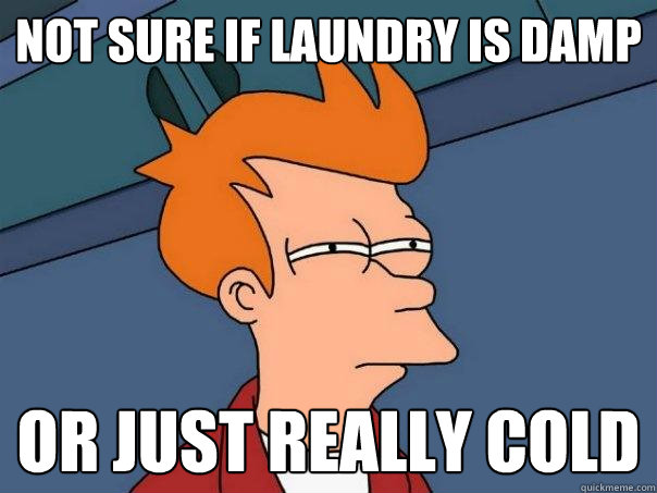 not sure if laundry is damp or just really cold  Futurama Fry