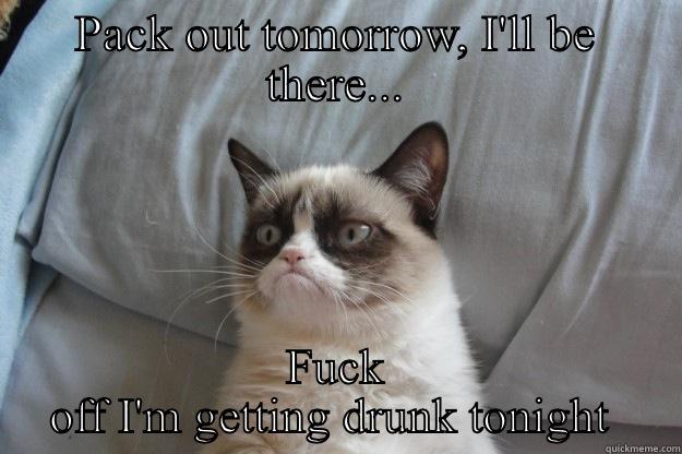 PACK OUT TOMORROW, I'LL BE THERE... FUCK OFF I'M GETTING DRUNK TONIGHT  Grumpy Cat