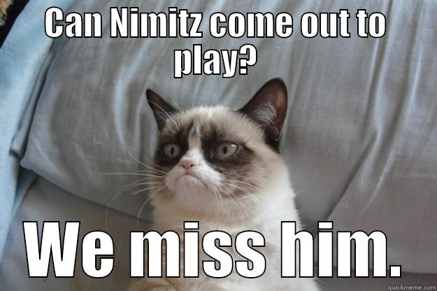 Hey Linda - CAN NIMITZ COME OUT TO PLAY? WE MISS HIM. Grumpy Cat