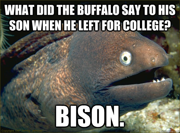 What did the buffalo say to his son when he left for college? Bison.  Bad Joke Eel