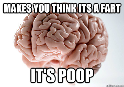 MAKES YOU THINK ITS A FART IT'S POOP - MAKES YOU THINK ITS A FART IT'S POOP  Scumbag Brain