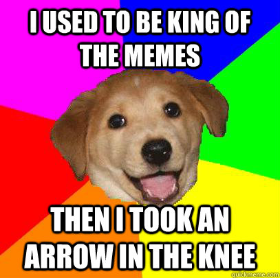 I used to be king of the memes Then i took an arrow in the knee  Advice Dog