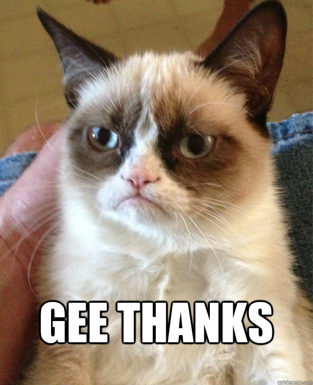  gee thanks  Grumpy Cat