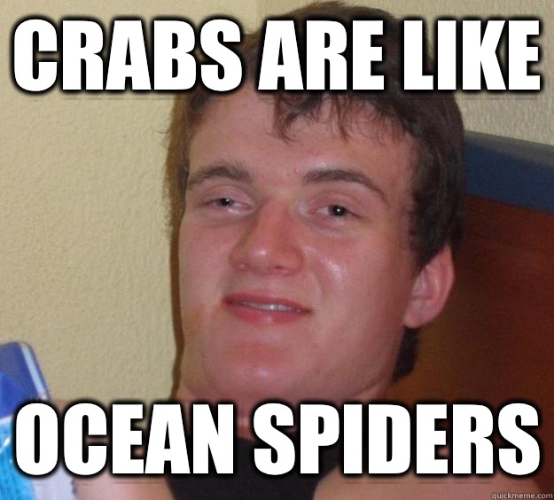 Crabs are like Ocean spiders - Crabs are like Ocean spiders  10 Guy