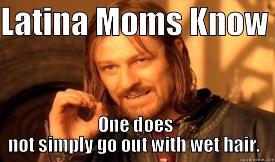 Wet hair - LATINA MOMS KNOW  ONE DOES NOT SIMPLY GO OUT WITH WET HAIR.  Boromir