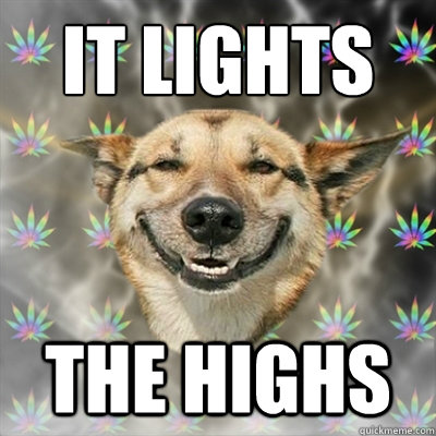 It Lights The Highs  Stoner Dog