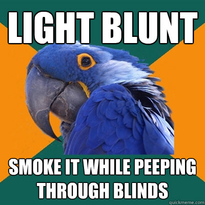 light blunt smoke it while peeping through blinds - light blunt smoke it while peeping through blinds  Paranoid Parrot