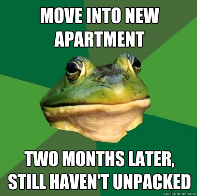 move into new apartment two months later, still haven't unpacked  Foul Bachelor Frog