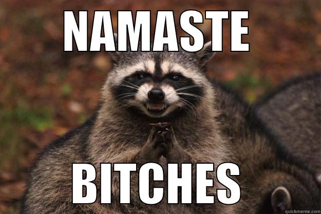 NAMASTE BITCHES Evil Plotting Raccoon