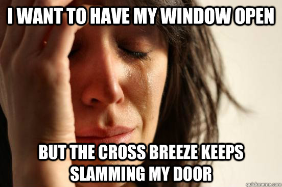 I want to have my window open But the cross breeze keeps slamming my door - I want to have my window open But the cross breeze keeps slamming my door  First World Problems