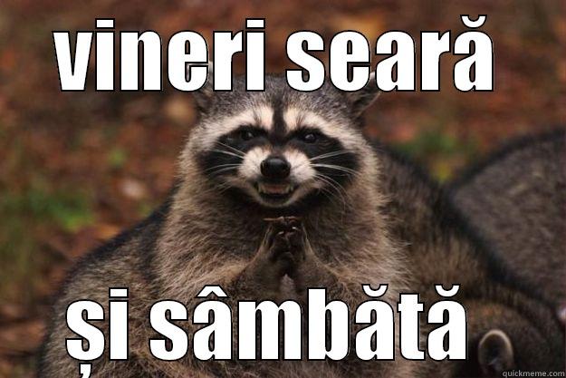 VINERI SEARĂ ȘI SÂMBĂTĂ  Evil Plotting Raccoon