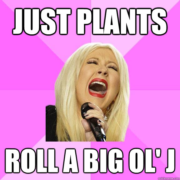 just plants roll a big ol' j  Wrong Lyrics Christina