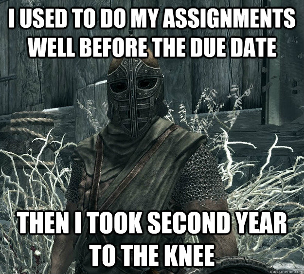 I used to do my assignments well before the due date then i took second year to the knee - I used to do my assignments well before the due date then i took second year to the knee  Skyrim Guard