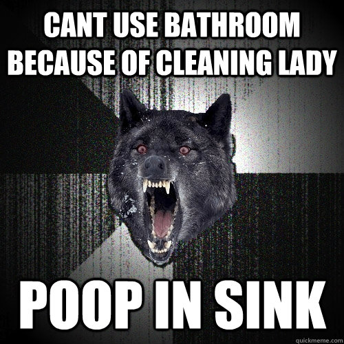 cant use bathroom because of cleaning lady poop in sink  Insanity Wolf