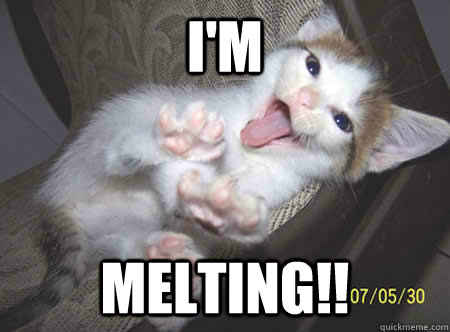 i'm melting!! - i'm melting!!  wicked witch