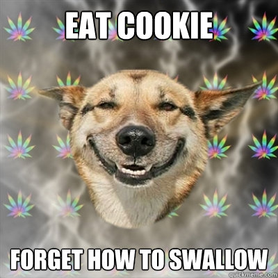 eat cookie Forget how to swallow  Stoner Dog