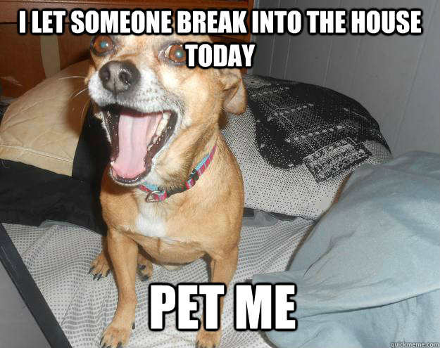 i let someone break into the house today pet me - i let someone break into the house today pet me  Misc